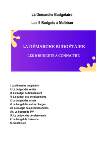 La Démarche Budgétaire – Les 9 Budgets à Maîtriser