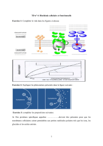 TD Version Etudiant 4 (1)