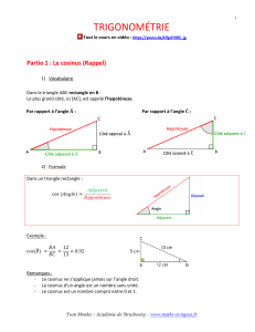 19Trigo