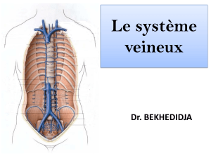 7-Le Système Veineux