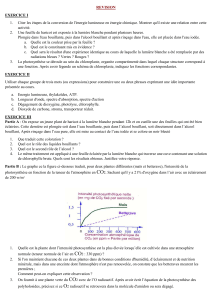 REVISION PHOTOSYNTHESE