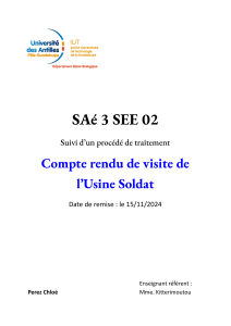 SAé 3 SEE 02 compte rendu de visite Perez Chloé