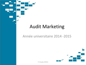 Cours d'Audit Marketing