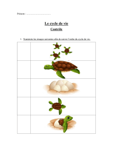 contrôle le cycle de vie