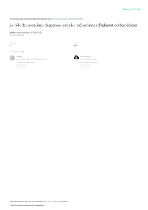 Le role des proteines chaperons dans les mecanisme