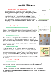 Les défenses de l'organisme : Fiche de cours biologie