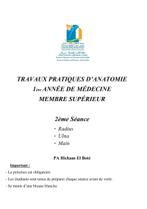 TRAVAUX PRATIQUES mb sup 2