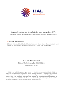 Rapport final-HUCHETTE-spécialités bacheliers STI transmis INRP modif HAL