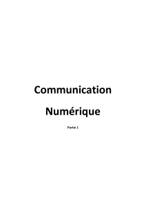 L3 TELECOM S6 Communication numerique