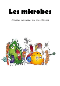 Les microbes - Livret élève