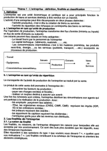 L'entreprise: D&eacute;finition, Finalit&eacute;s et Classification