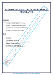 ANTIBIGRAMME : INTERPRETATION ET RESISTANCE