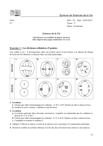 14svt3e corrige e2