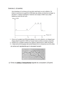 Doc6