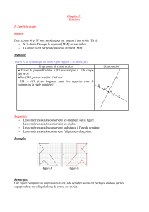 cour symétrie 5eme