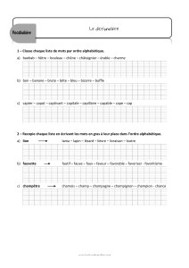 le-dictionnaire