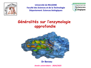 Généralités sur les enzymes 24 25