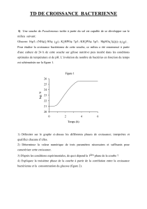 TD croissance bacterienne