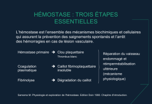 hemostase compress