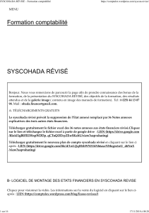 Formation SYSCOHADA R&eacute;vis&eacute;: Comptabilit&eacute; & Finance