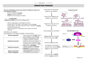 Hématologie - Hémostase primaire