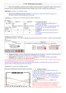 DS Metabolisme 2 correction (1)