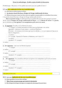 Plan détaillé dissertation