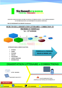 Dissertation Litt&eacute;raire + Corrections: Pr&eacute;paration Examen Lyc&eacute;e