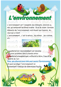 Lenvironnement