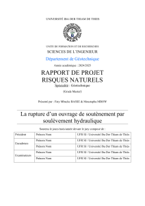 Rupture d'ouvrage de soutènement : Soulèvement hydraulique