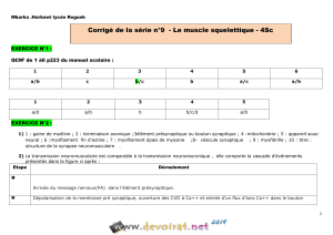 Correction de la série n°9  - SVT - Muscle squelettique - Bac Sciences exp (2018-2019)  Mme Mbarka Harbawi (1)