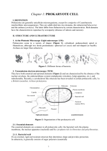 Chapitre-1-Cellule-procaryote-en-US-o-1