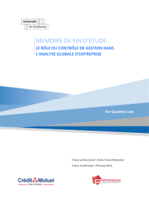 Contr&ocirc;le de gestion et analyse d'entreprise : M&eacute;moire