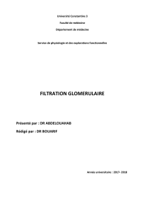 Filtration glom&eacute;rulaire : Physiologie r&eacute;nale - Pr&eacute;sentation