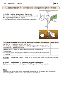 2de T1 TP2 spécialisation des cellules