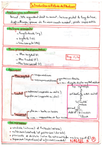 Anatomie-Naidji 2