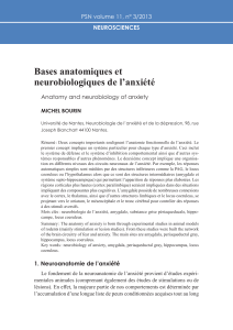 bases-anatomiques-et-neurobiologiques-de-lanxiete