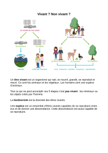 définition-arbre-cycle3