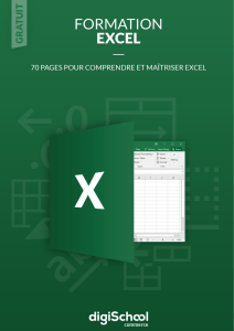 Formation Excel - 70 Pages pour comprendre et Maitriser Excel