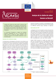 VCA4D 17 - Burundi Banana FR 1