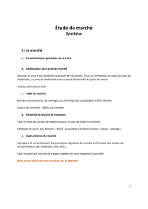 Etude-de-marche-exemple-pdf