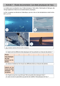 Activité 1 les 3 états physiques