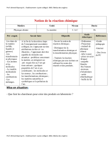 01-Notion-de-reaction-chimique