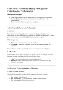 Infection et Inflammation: M&eacute;canismes Physiopathologiques