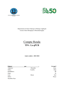 Compte Rendu TP qPCR - G&eacute;nie Biologique