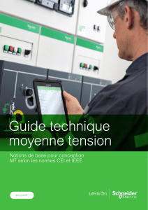 Guide technique MT : Conception selon CEI et IEEE