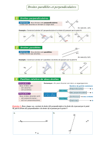 Droites parallèles et perpendiculaires