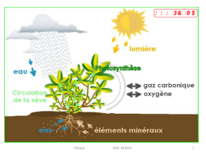 Les besoins nutritifs des plantes - svt 1APIC (www.pc1.ma)