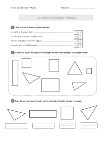 ce1-evaluation-carre-rectangle-triangle