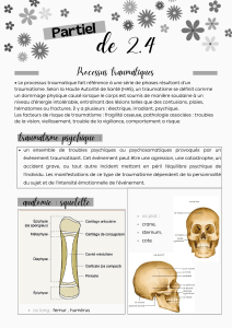 Fiche de revision